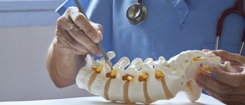 A neurosurgeon using pencil pointing at lumbar vertebra model in medical office